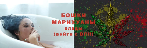 ешки Бронницы